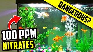 Are Nitrates in Your Aquarium Good or Bad? How to Find The Ideal Level