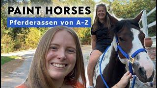 Pferderassen von A-Z | Paint Horses - Die Indianer-Pferde der USA