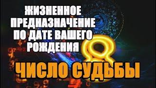 Как узнать свое жизненное предназначение? Что уготовила вам судьба? Все ответы вы найдете здесь!