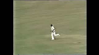 Desmond Haynes backfoot drive