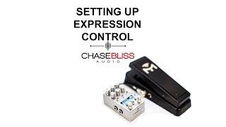 Setting Up Expression Control