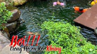 Bơi!!! trong hồ cá koi KHỦNG | Triệu Điền