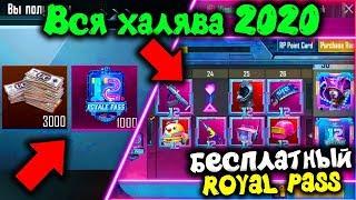 ВСЯ НОВАЯ АКТУАЛЬНАЯ ХАЛЯВА В PUBG MOBILE! ЗАБИРАЙ БЕСПЛАТНО ROYAL PASS 12 СЕЗОНА/ХАЛЯВА ПУБГ МОБАЙЛ