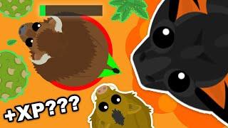 HOW I GET MY XP IN MOPE.IO // EPIC FUNNY MOMENTS !!!