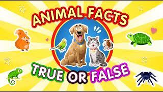 True or False with Animals! Can You Guess All the Answers!? | Animal Quiz