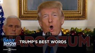 Trump's Best Words: The Daily Show