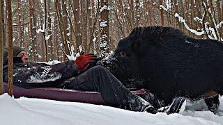 Личное место силы в лесной глуши | Кабан - верный друг.бушкрафт | bushcraft.