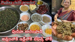 పుదీనా కారం పొడి || pudina chilli powder || Idli Dosa powder