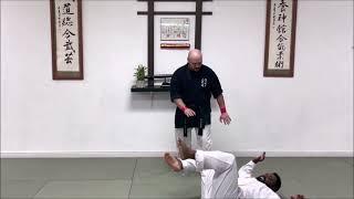Goju Ryu Kata Applications | Trio Martial Arts Academy