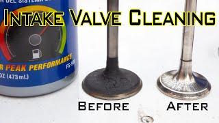 How to clean intake valves on Direct/Indirect injection engines without REMOVING anything / ALIMECH