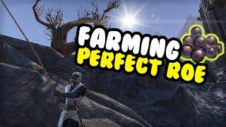 The BEST Perfect Roe Farming Location (Elder Scrolls Online Guide PC, PS4, Xbox)