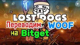 Lost Dogs | Листинг | Вывод WOOF на биржу Bitget | NOTCOIN | Присоединяйся в наш СКВАД | Woof |