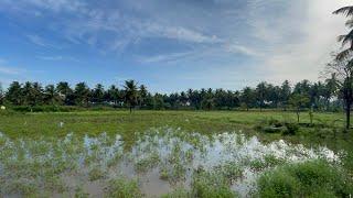 Heavy Rains in our village️ | Please Stay Safe | Kicha Village Vlogs