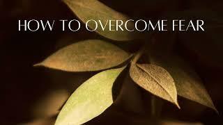 How to overcome fear #overcomefears #fear