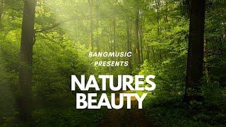 NATURES BEAUTY (Official Music Video) by BangMusic