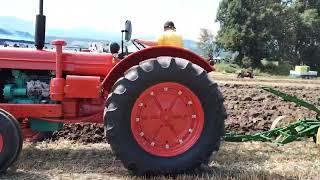 Oldtimer Traktor treffen mit Show Pflügen 