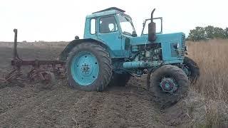 mtz82 belarus