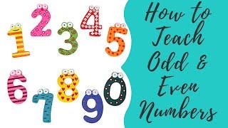 How To Teach Odd & Even Numbers To Preschoolers