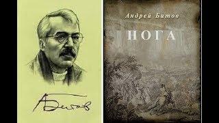 «Настоящие изменения не различимы на глаз». Андрей Битов. « Нога». Рассказ.