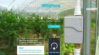 WittFlow: smart water timer with intelligent irrigation system