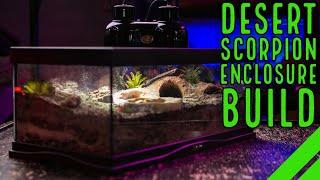 How To Set Up a Desert Habitat w/ Zoo Med Excavator Clay