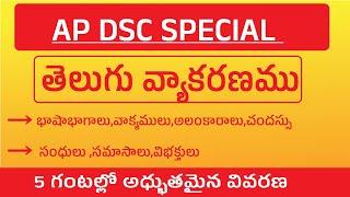 తెలుగు వ్యాకరణము | ap dsc telugu class | telugu grammar | ap dsc  | ts dsc | telugu content