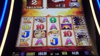 LOVELY BONUS WIN With Variable Bet On BUFFALO GOLD Slot Machine- SunFlower Slots