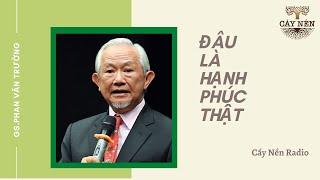 Đâu là HẠNH PHÚC thật | Tác giả: GS. Phan Văn Trường | Cấy Nền Radio