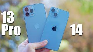 iPhone 13 Pro / Max vs. iPhone 14 / Plus - Was lohnt sich? Macht keinen Fehler!