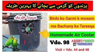 Summer season Best Tip, how to protect your Parrots in Summer in Urdu/Hindi by |Arham|., Vdo. 98