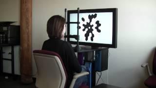 Multifocal ERG Demonstration