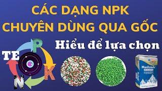 Các dạng phân bón NPK chuyên dùng qua gốc | Lựa chọn đúng loại cho cây trồng | Phun lá được không?