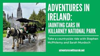 Carriage Ride in Ireland's Largest National Park