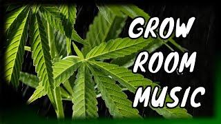 Music for Cannabis Grow  Plant Growth Music! - Grow Room Music (8hr)