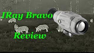 IRay bravo thermal scope review