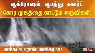 ஆக்ரோஷம்.. ஆபத்து.. அலர்ட்.. கோர முகத்தை காட்டும் அருவிகள்.. பாக்கவே ரொம்ப பயங்கரமா?