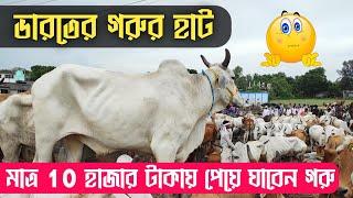 ভারতে গ'রুর দাম এতো কম শুনলে অবাক হয়ে যাবেন  Indian Cow Market ||