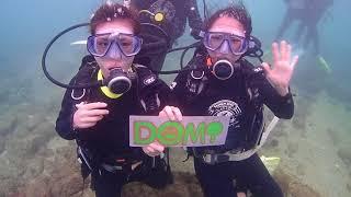 台灣潛水 Taiwan Dive Center X DOMI 綠然能源