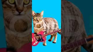 Funny cat play guitar #funny #viral#cat#catlover#cute#animal