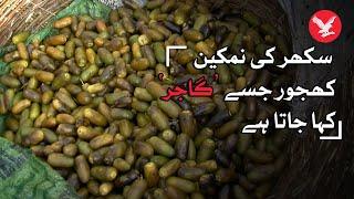 Unique salty dates of Sukkur