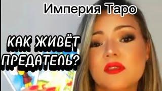 расклад - общий Как живёт "ПРЕДАТЕЛЬ (НИЦА) #предатель #предатели