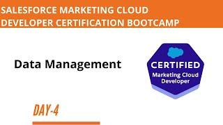 Marketing Cloud Developer Bootcamp   Day 4 Data Management