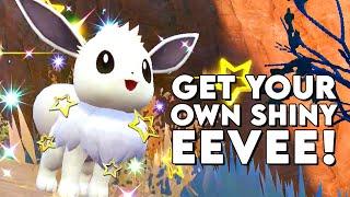 10 Shiny EEVEE in ONE Day? How? This is How! ► Pokemon Scarlet and Violet