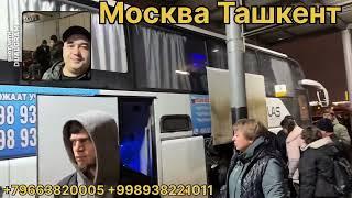 прямой рейс из метро котельники до ташкента комфорт автобус каждый день