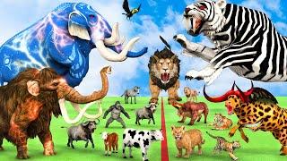 5 Giant Mammoth Elephant Cow vs 5 Giant Lion Tiger vs Hybrid Tiger Zebra Saved By Woolly Mammoth