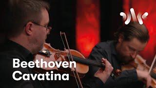 Beethoven: Cavatina from String Quartet No.13