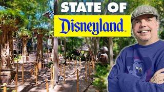 Crowd shortage is getting confusing | State of Disneyland Report 2024-05-01