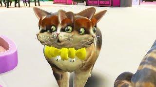 I Shouldn't Have Cloned My Cat 18 Times... - The Sims 4