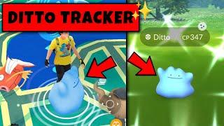 How to Catch Ditto in Pokemon Go ? Ditto Disguise September  in Pokemon GO | Pokemon Go Shiny Ditto