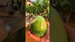 Farm Fresh Ninja Fruit Cutting | Oddly Satisfying Fruit Ninja | ASMR | Amazing Farm #M1